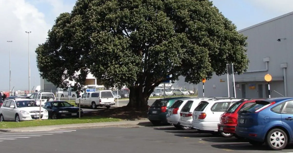 Find and reserve budget-friendly monthly parking in Auckland City now