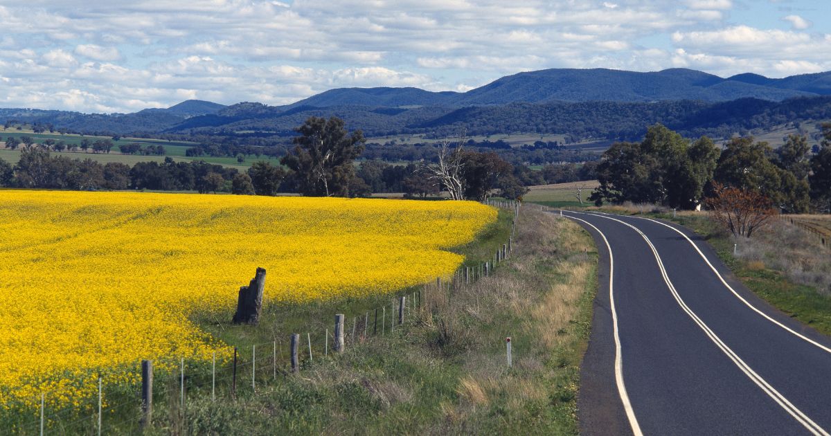 Endless Horizons: A Journey Through The Countryside