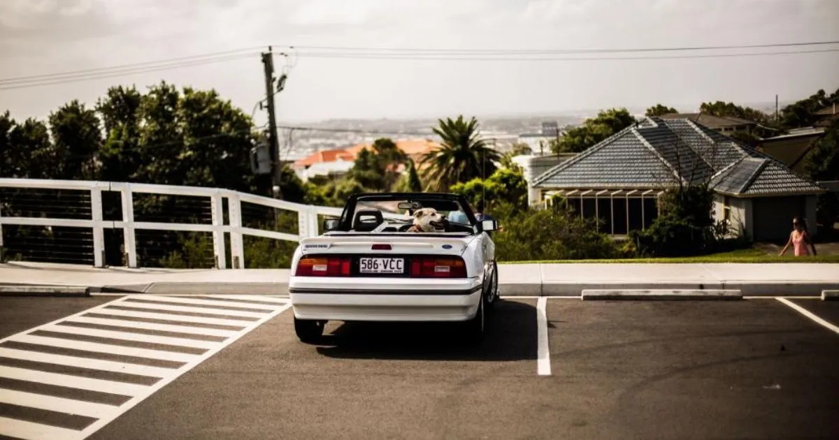 A White Car Parked In A Parking Lot With An Adjacent Empty Space