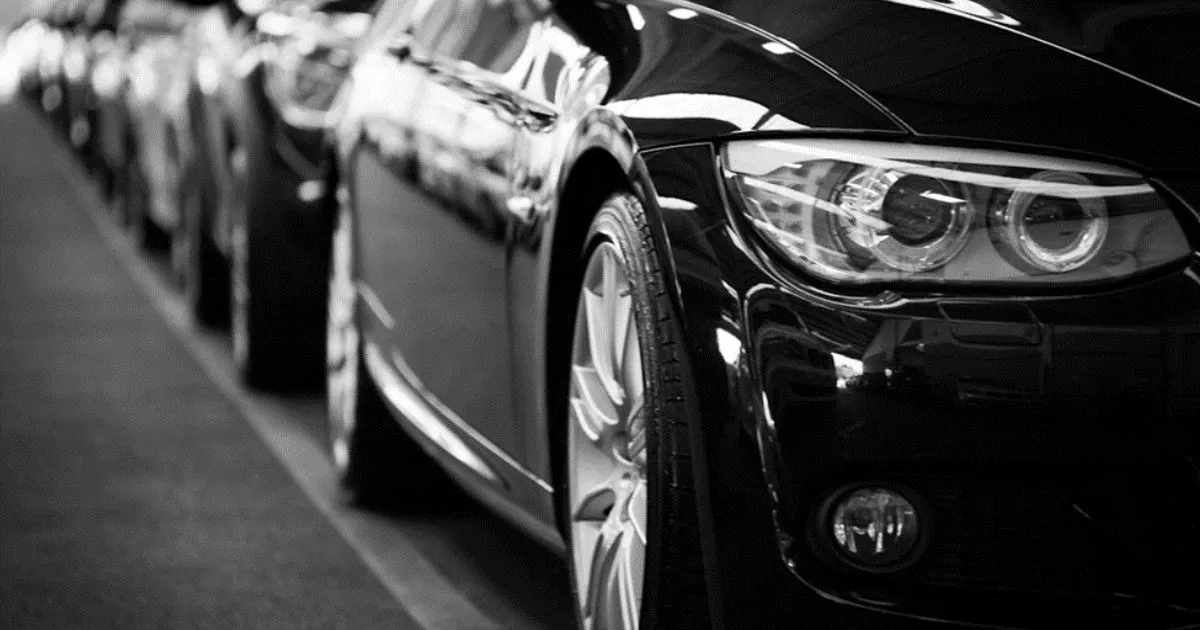 Row Of Parked Cars In A Commercial Parking Lot