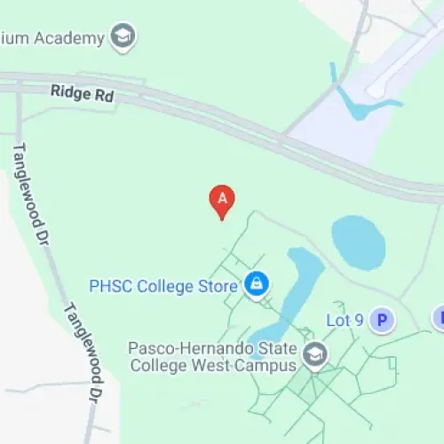 10230 Ridge Rd, New Port Richey, FL 34654, United States
