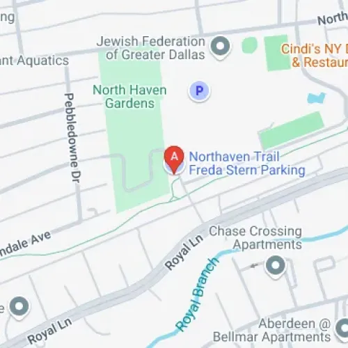 10803 Freda Stern Dr, Dallas, TX 75230, United States