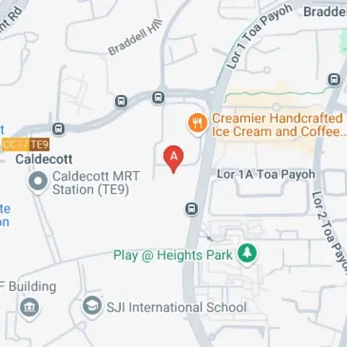 130 Lor 1 Toa Payoh, Singapore 311130