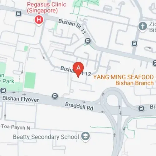 135A Bishan St 12, Singapore 570135