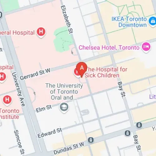 170 Elizabeth St, Toronto, SA M5G 1E8, Canada