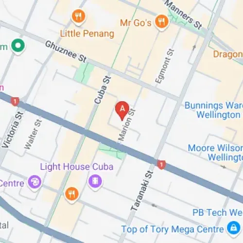 26 Marion Street, Te Aro, Wellington 6011, New Zealand
