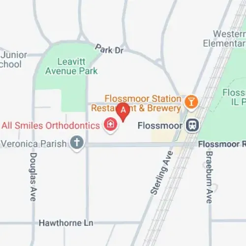 2634 Central Dr, Flossmoor, IL 60422, United States
