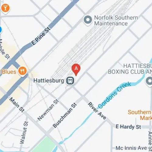 308 Newman Street Hattiesburg, MS 39401, Hattiesburg, MS 39402, United States