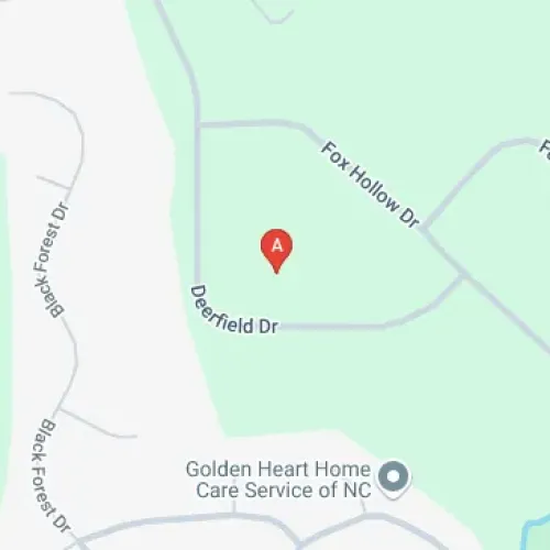 309 Deerfield Dr, Clayton, NC 27527, United States