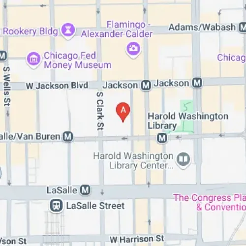 318 S Federal St, Чикаго, Іллінойс 60604, США