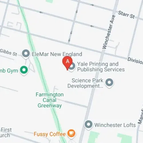 344 Winchester Ave, New Haven, CT 06511, United States