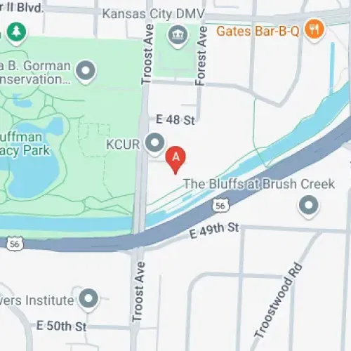 699 E 48 St, Kansas City, MO 64110, United States