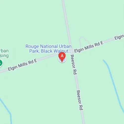 7445 Elgin Mills Rd E, Markham, ON L6B 1A8, Canada