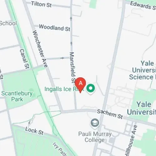 81 Mansfield St, New Haven, CT 06511, United States