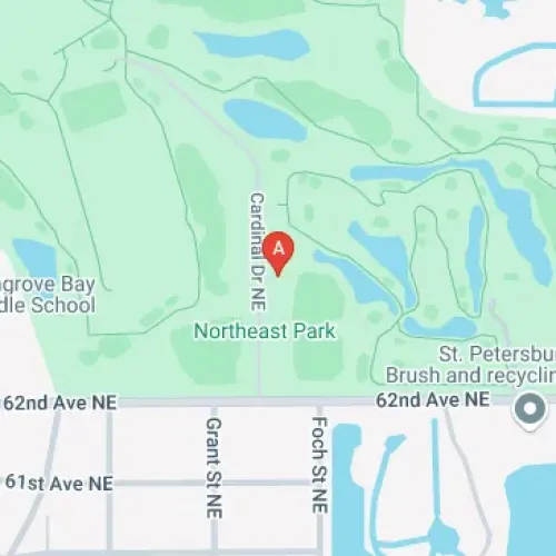 Cardinal Dr Ne, St. Petersburg, FL 33701, United States