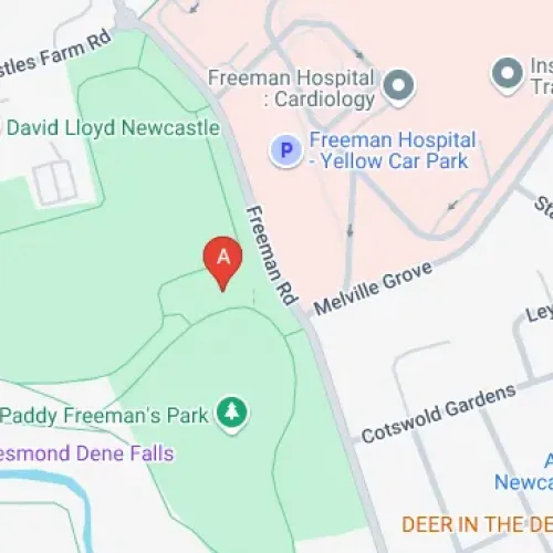 Freeman Rd, Newcastle upon Tyne NE2 2EY, United Kingdom