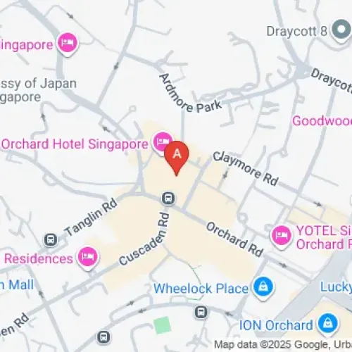 Orchard Hotel Singapore Car Parking Spaces