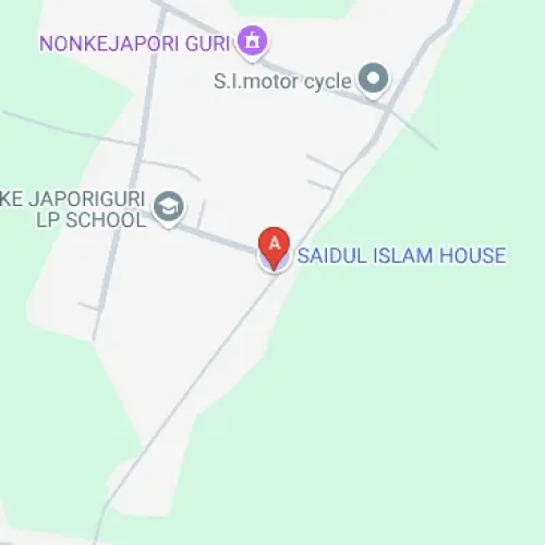P539+HFX, Gowal Toli, Assam 784177, India
