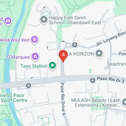 Pasir Ris Park Car Park B and E Car Parking Spaces