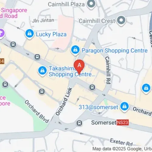 Pullman Singapore Orchard Car Parking Spaces