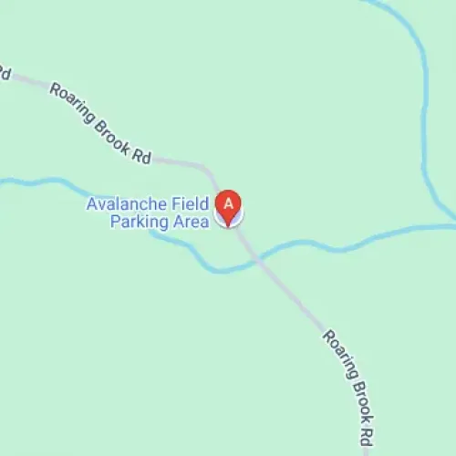 Roaring Brook Rd, Millinocket, ME 04462, United States