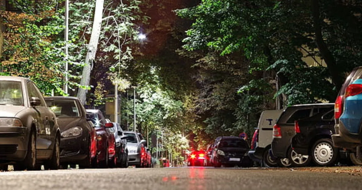 Various Cars Parked On The Street Under Trees At Night