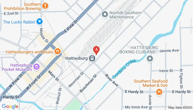 308 Newman Street Hattiesburg, MS 39401, Hattiesburg, MS 39402, United States 308 Newman Street Hattiesburg, MS 39401, Hattiesburg, MS 39402, United States