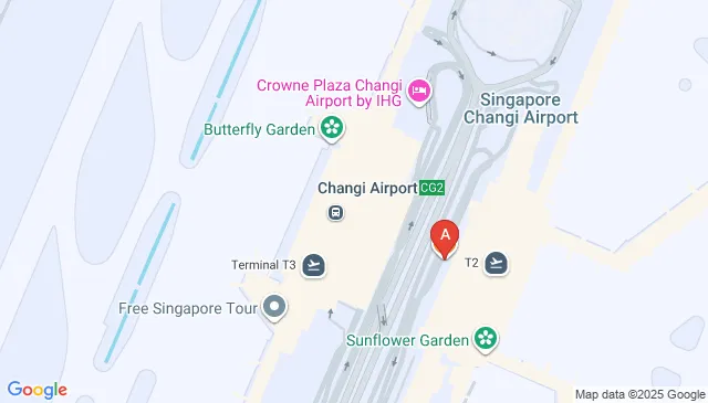 Changi Airport South Carpark Car Parking Spaces