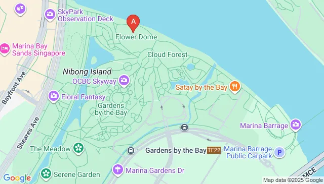Gardens By The Bay Car Parking Spaces