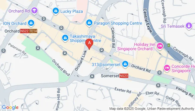 Hilton Singapore Orchard Car Parking Spaces