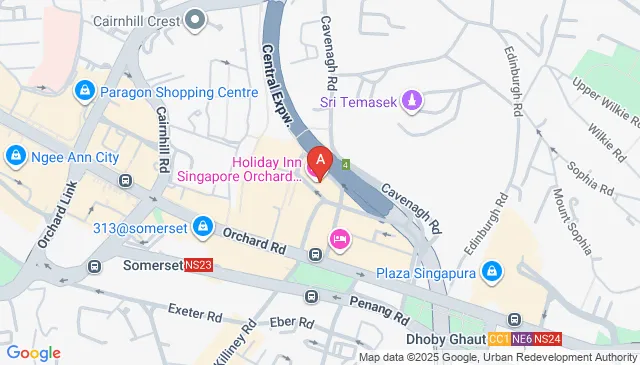 Holiday Inn Singapore Orchard City Centre Car Parking Spaces