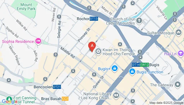 Ibis Singapore On Bencoolen Hotel Car Parking Spaces