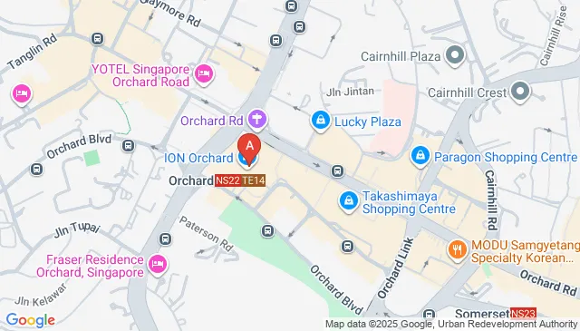 Ion Orchard Car Parking Spaces