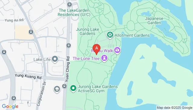 Jurong Lake Gardens Car Parking Spaces
