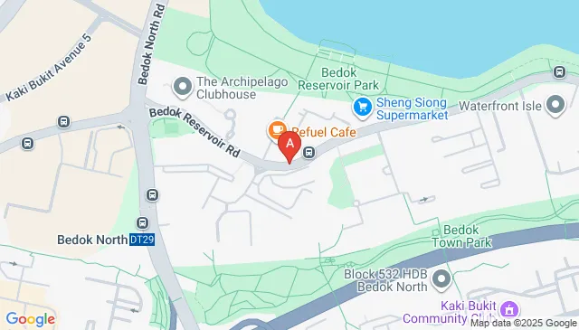 MacRitchie Reservoir Park Car Parking Spaces