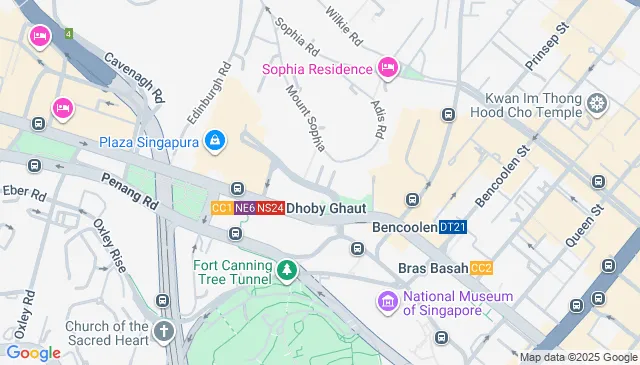 Mandarin Orchard Singapore Car Parking Spaces