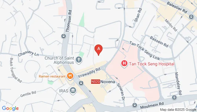 Mount Elizabeth Novena Hospital Car Parking Spaces
