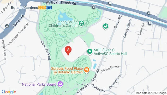 NUS Bukit Timah Campus Car Parking Spaces