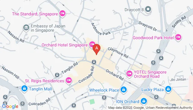 Orchard Hotel Singapore Car Parking Spaces
