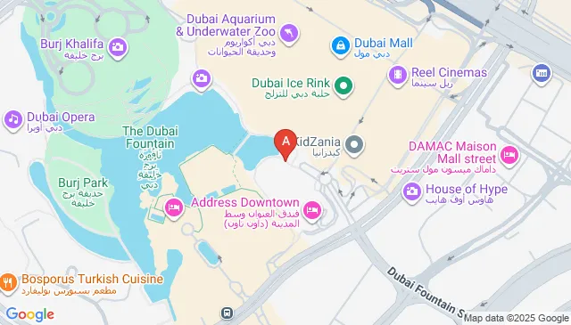 Parking Spot near Address Dubai Mall
