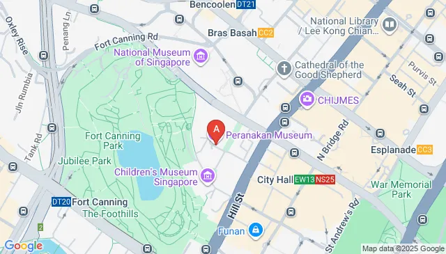 Public carpark Peranakan Museum Car Parking Spaces